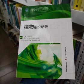 植物组织培养石文山中国轻工业出版社9787501991730