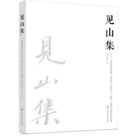 见山集：视觉形象系统设计、徽标设计、招贴设计、产品设计、包装设计及综合设计全案