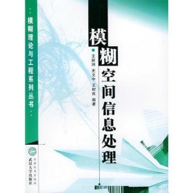 模糊空间信息处理/模糊理论与工程系列丛书