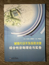 城镇片区开发投资决策综合性咨询理论与实务王廷先 徐敏峰天津大学出版社9787561870716