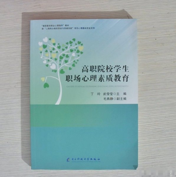 高职院校学生职场心理素质教育丁玲电子科技大学出版社9787564781675