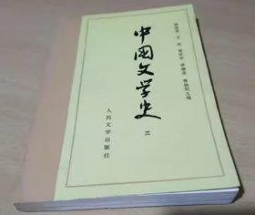 中国文学史.三游国恩  主编人民文学出版社9787020009671