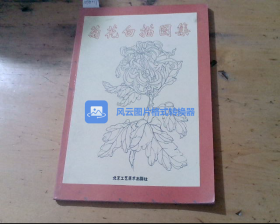 菊花白描图集