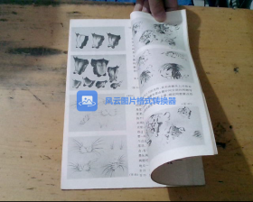 怎样画虎 中国画自学丛书