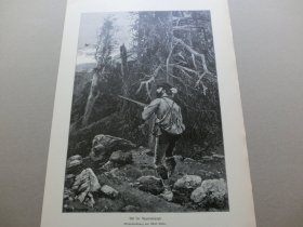 【百元包邮】《狩猎松鸡》（Auf der Auerhahnjagd）1894年，木刻版画， 纸张尺寸约41×28厘米。出自德国画家，Albert Richter（1845–1898）的原创木刻作品