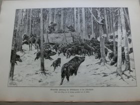 【百元包邮】《冬季在荒原上饲养野生的野猪》（winterliche fütterung der wildschweine in der schorfheide）1894年，木刻版画， 纸张尺寸约41×28厘米。出自德国画家，Albert Richter（1845–1898）作品