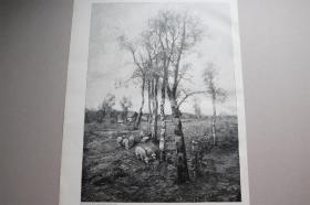 【百元包邮】《盛夏的田园风光》（Idylle im Hochsommer）   1897 年木刻版画     尺寸约 41*28厘米 （货号500858）