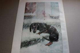 【百元包邮】《流浪的狗》（Der Verlorene Sohn） 1902年彩色平版印刷画     尺寸约29*41厘米   （货号501100）