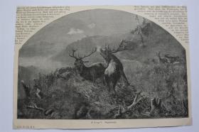 【百元包邮】《鹿王之争》(abgekämpft) 1899年 小幅木刻版画   卡纸尺寸约29.7×21厘米   （货号501300）