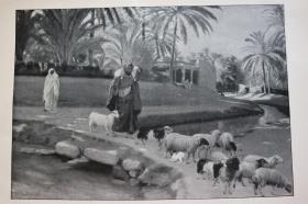 【百元包邮】《牧羊人》（SCHÄFER MIT HERDE）   1902 年平板印刷画  纸张尺寸约41×28厘米 （货号500758）