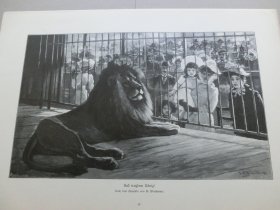 【百元包邮】《动物园中的狮子，狮王》 （Und Trotzdem König）1894年，木刻版画， 纸张尺寸约41×28厘米。出自19世纪奥地利画家，古斯塔夫·韦特莫尔（Gustav Wertheimer，1847-1904）的油画作品