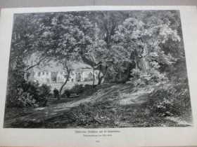 【百元包邮】《风景画：菩提树下的岁月流逝》（Klosterruine Nimbschen und die Lutherlinden） 1882年，木刻版画， 纸张尺寸约41×28厘米。出自Karl Heyn（1834–1906）的原创木刻 ，画中远景尼姆森修道院是“宗教改革之父”马丁·路德妻子：卡特琳娜·封·波拉少女时代做修女的女修院（1516年），这颗巨大的菩提树是由马丁·路德当年亲手所种