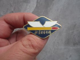 北京书画分校徽章