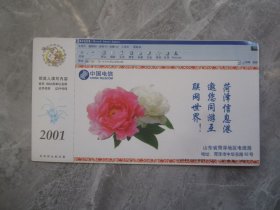 菏泽地区电信局牡丹明信片