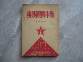 新中国观感集