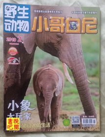 DT02 国家新闻出版总署推荐期刊 《小哥白尼 野生动物》 （2019年第02期）