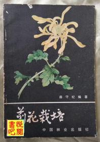 J31  《菊花栽培》