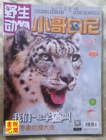 DT02 国家新闻出版总署推荐期刊 《小哥白尼 野生动物》 （2019年第01期）