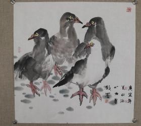 中国手指画研究会常务理事 陶力星 鸽子 67.5×68 软片