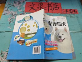 萨摩耶犬