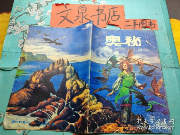 奥秘1989 6 皮小斯痕