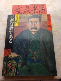 夏目漱石 吾辈は猫である 明治の古典 9 精装带外盒