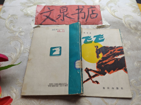 飛飛