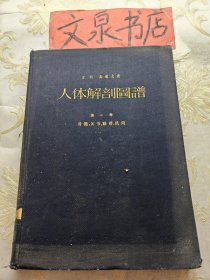 人体解剖图谱 第五版 第一卷骨骼，关节，韧带，肌肉 1959年英文版 皮底边磨损