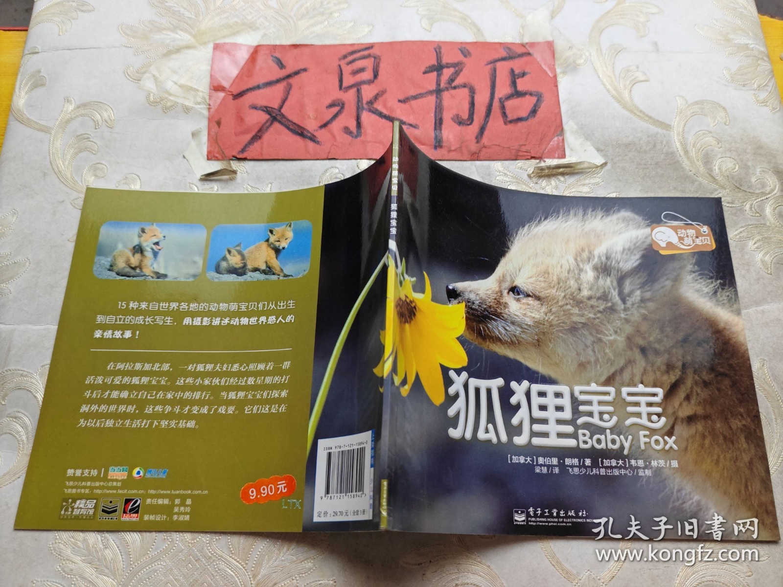 狐狸宝宝