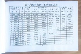 吉林市城区街路广场桥涵手册   L