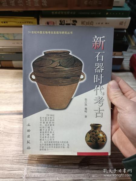 新石器时代考古：20世纪中国文物考古发现与研究丛书