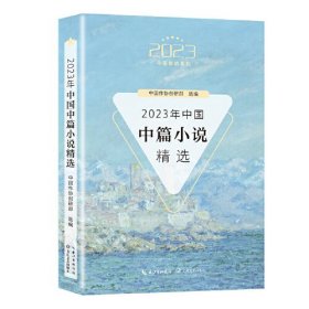 2023年中国中篇小说精选/2023中国年选系列
