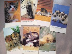 名猫卡片（7张）