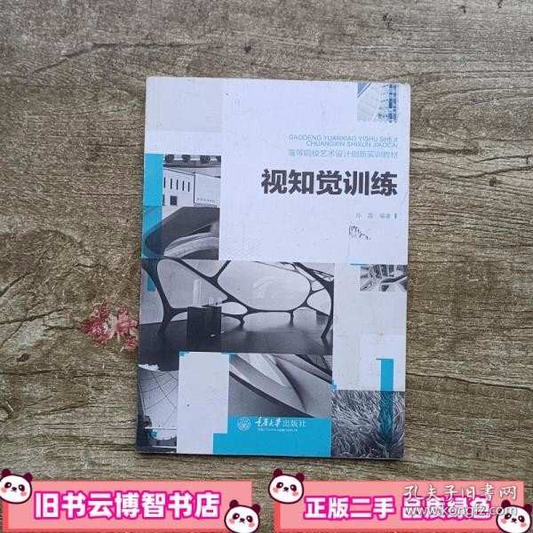 视知觉训练/高等院校艺术设计创新实训教材