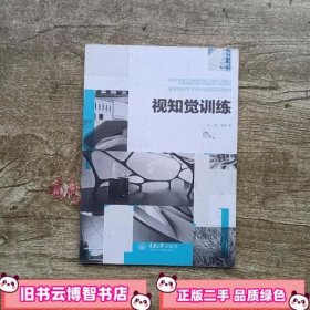 视知觉训练/高等院校艺术设计创新实训教材