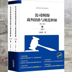 公司纠纷裁判思路与规范释解（第二版 套装上下册）