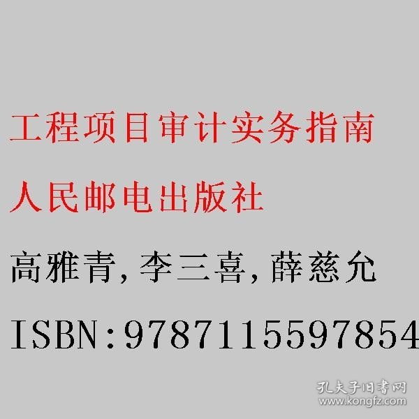 工程项目审计实务指南