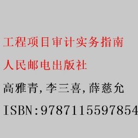 工程项目审计实务指南