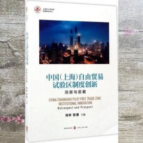 中国（上海）自由贸易试验区制度创新：回顾与前瞻