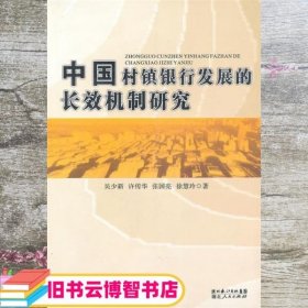中国村镇银行发展的长效机制研究