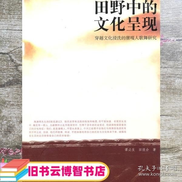 田野中的文化呈现 谭必友 田级会 人民出版社 9787010090061