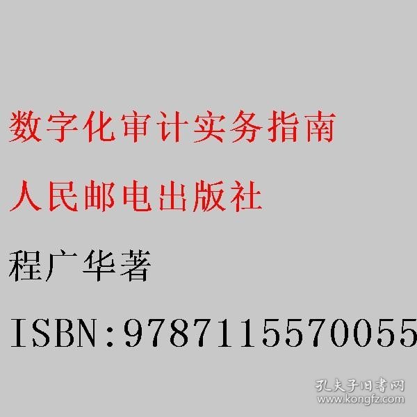 数字化审计实务指南