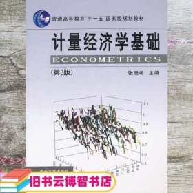 计量经济学基础