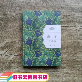 海子诗精编名家经典诗歌系列 海子著 长江文艺出版社 9787535475015