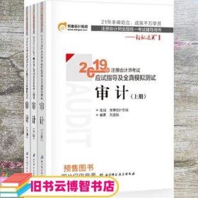 注会会计职称2019教材辅导东奥2019年轻松过关一《2019年注册会计师考试应试指导及全真模拟测试》审计（上下册）