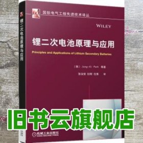 国际电气工程先进技术译丛：锂二次电池原理与应用