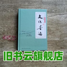 文化苦旅 软精装