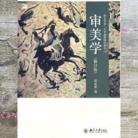 审美学修订版 胡家祥 北京大学出版社9787301170281