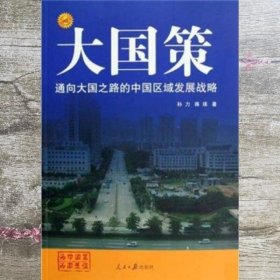 通向大国之路的中国区域发展战略