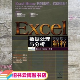 Excel数据处理与分析实战技巧精粹